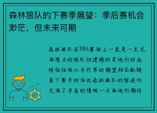 森林狼队的下赛季展望：季后赛机会渺茫，但未来可期